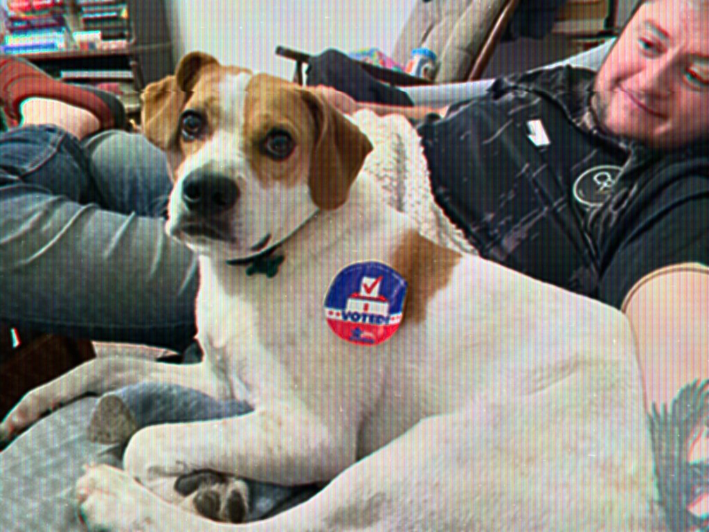 Having Already Voted